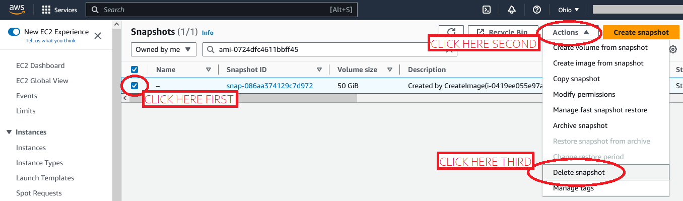 ../_images/uninstall_4db_delete_snapshot.png